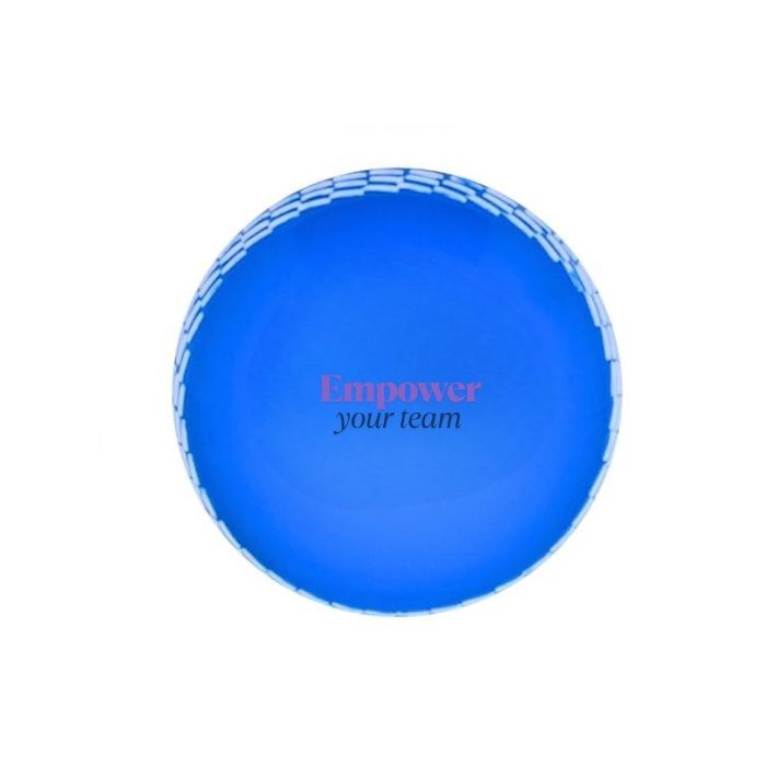 custom branded cricket balls blue