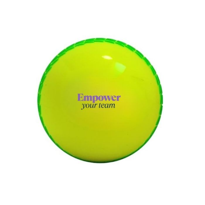 Custom branded cricket ball fluro