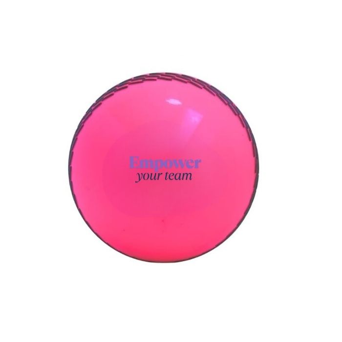 Custom branded crcket balls pink