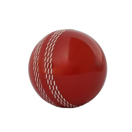 custo branded cricket balls