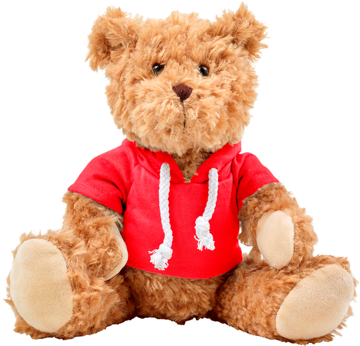 Plush Teddy Bear with Hoodie