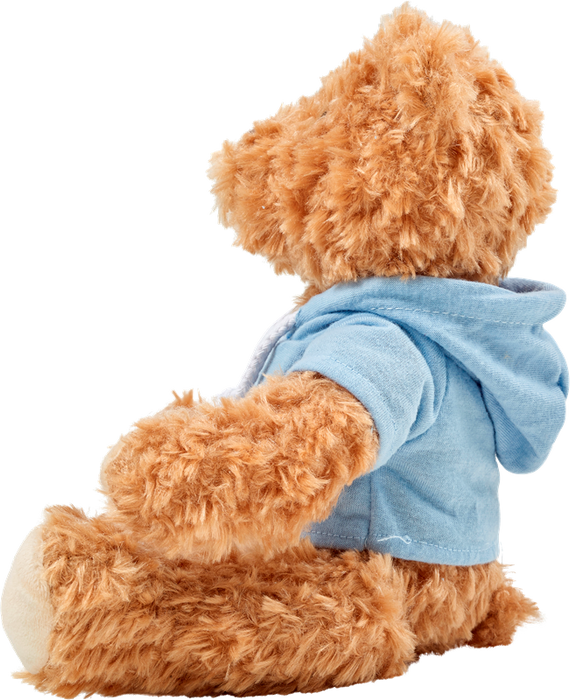 Plush Teddy Bear with Hoodie