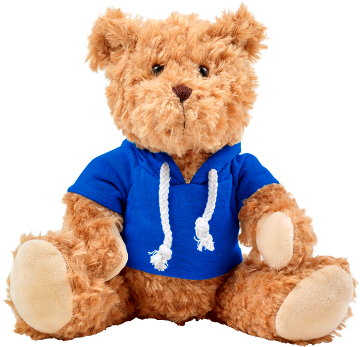 Plush Teddy Bear with Hoodie