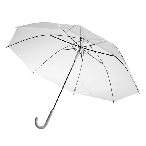 Denise Automatic Transparent Umbrella