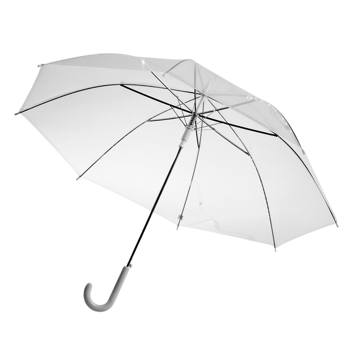 Denise Automatic Transparent Umbrella