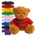 Custom printed teddy bear