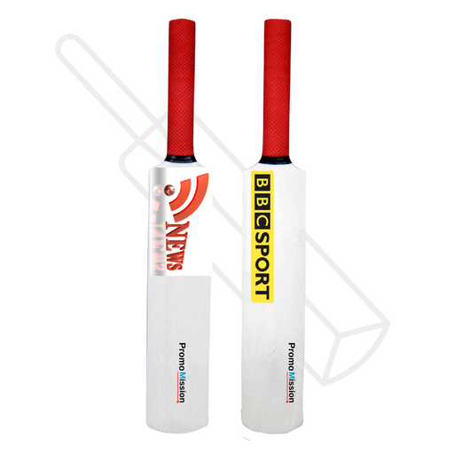 mini cricket bat