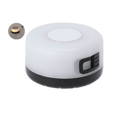 Portable LED Light